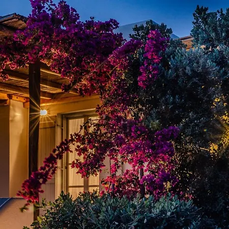 Calmea Seafront - Secluded Aliki (Paros)