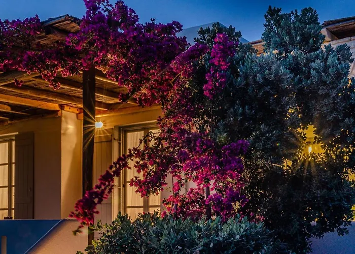 Calmea Seafront - Secluded Alikí