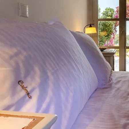 Calmea Seafront - Secluded Aliki (Paros)