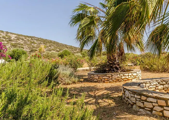 Villa Calmea Seafront - Secluded Alikí